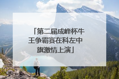 第二届成峰杯牛王争霸赛在科左中旗激情上演