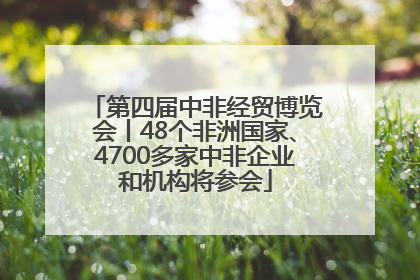 第四届中非经贸博览会丨48个非洲国家、4700多家中非企业和机构将参会