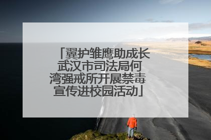 翼护雏鹰助成长 武汉市司法局何湾强戒所开展禁毒宣传进校园活动
