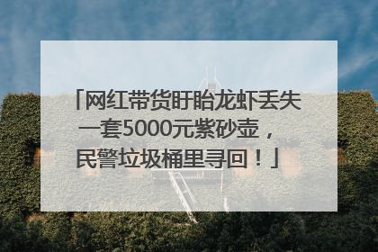 网红带货盱眙龙虾丢失一套5000元紫砂壶，民警垃圾桶里寻回！