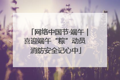 网络中国节·端午｜喜迎端午“粽”动员 消防安全记心中
