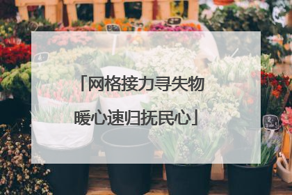网格接力寻失物 暖心速归抚民心