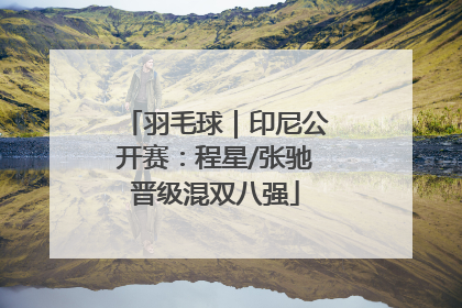 羽毛球｜印尼公开赛：程星/张驰晋级混双八强