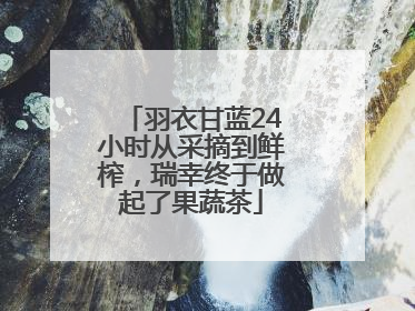 羽衣甘蓝24小时从采摘到鲜榨，瑞幸终于做起了果蔬茶