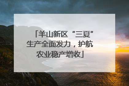 羊山新区“三夏”生产全面发力，护航农业稳产增收