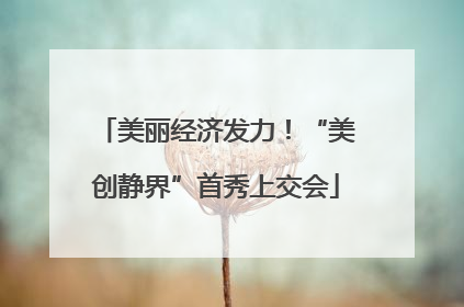 美丽经济发力！“美创静界”首秀上交会