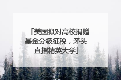 美国拟对高校捐赠基金分级征税，矛头直指精英大学