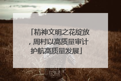 精神文明之花绽放，周村以高质量审计护航高质量发展