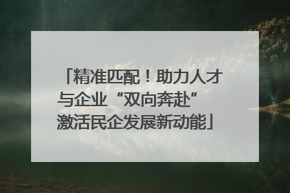 精准匹配！助力人才与企业“双向奔赴” 激活民企发展新动能