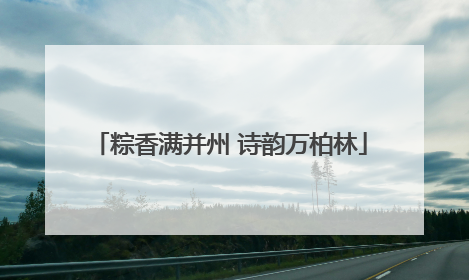 粽香满并州 诗韵万柏林