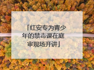 红安专为青少年的禁毒课在庭审现场开讲