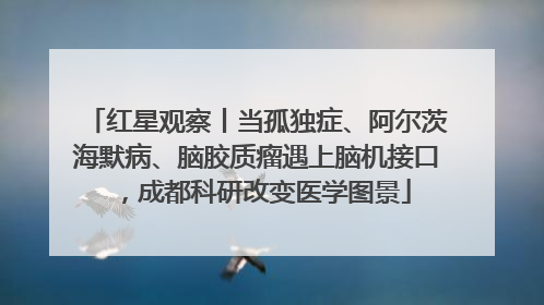 红星观察丨当孤独症、阿尔茨海默病、脑胶质瘤遇上脑机接口，成都科研改变医学图景