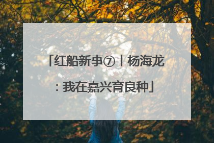 红船新事⑦丨杨海龙：我在嘉兴育良种