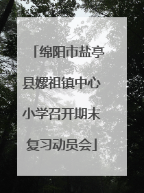 绵阳市盐亭县嫘祖镇中心小学召开期末复习动员会