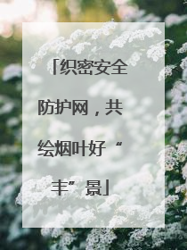 织密安全防护网，共绘烟叶好“丰”景