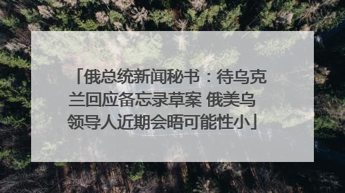 俄总统新闻秘书：待乌克兰回应备忘录草案 俄美乌领导人近期会晤可能性小