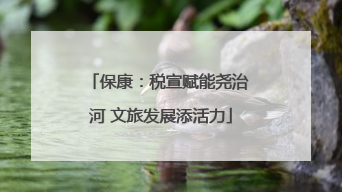 保康：税宣赋能尧治河 文旅发展添活力