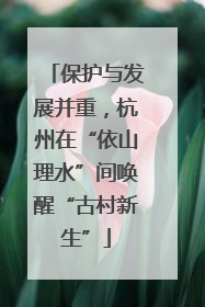保护与发展并重，杭州在“依山理水”间唤醒“古村新生”