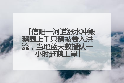 信阳一河道涨水冲毁鹅圈上千只鹅被卷入洪流，当地蓝天救援队一小时赶鹅上岸