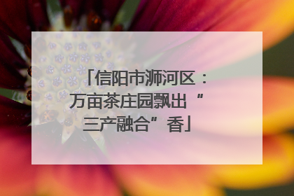 信阳市浉河区：万亩茶庄园飘出“三产融合”香