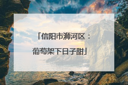 信阳市浉河区：葡萄架下日子甜