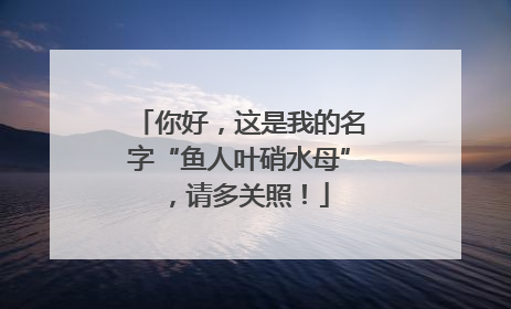 你好，这是我的名字“鱼人叶硝水母”，请多关照！