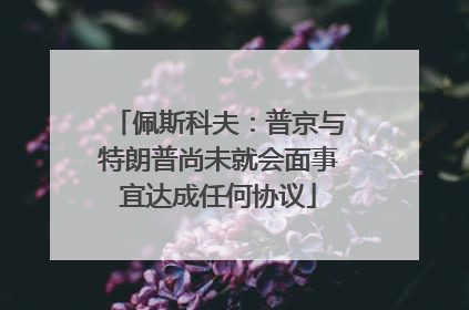 佩斯科夫：普京与特朗普尚未就会面事宜达成任何协议