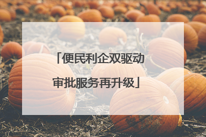 便民利企双驱动 审批服务再升级