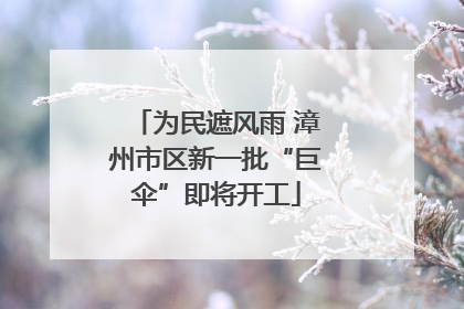 为民遮风雨 漳州市区新一批“巨伞”即将开工