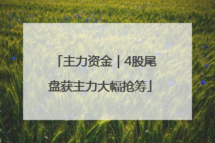主力资金｜4股尾盘获主力大幅抢筹