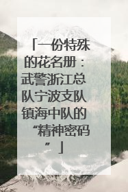 一份特殊的花名册：武警浙江总队宁波支队镇海中队的“精神密码”