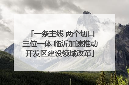 一条主线 两个切口 三位一体 临沂加速推动开发区建设领域改革