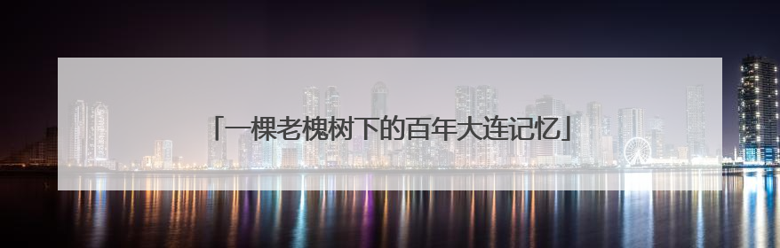 一棵老槐树下的百年大连记忆