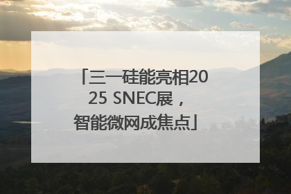 三一硅能亮相2025 SNEC展，智能微网成焦点