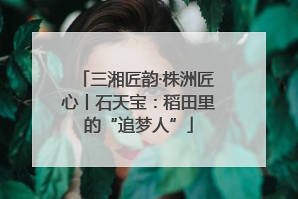 三湘匠韵·株洲匠心丨石天宝：稻田里的“追梦人”