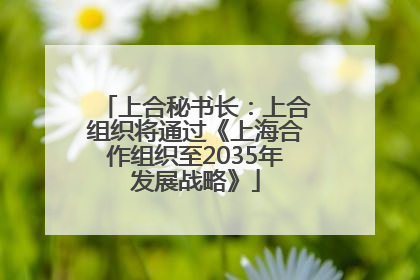 上合秘书长：上合组织将通过《上海合作组织至2035年发展战略》