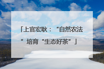 上官宏耿：“自然农法”培育“生态好茶”