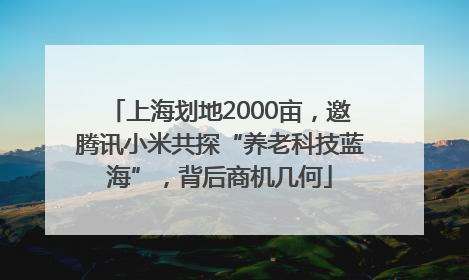 上海划地2000亩，邀腾讯小米共探“养老科技蓝海”，背后商机几何