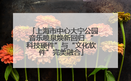 上海市中心大宁公园音乐喷泉焕新回归 “科技硬件”与“文化软件”完美融合