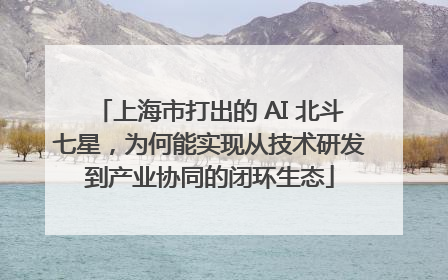 上海市打出的 AI 北斗七星，为何能实现从技术研发到产业协同的闭环生态