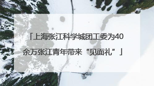 上海张江科学城团工委为40余万张江青年带来“见面礼”
