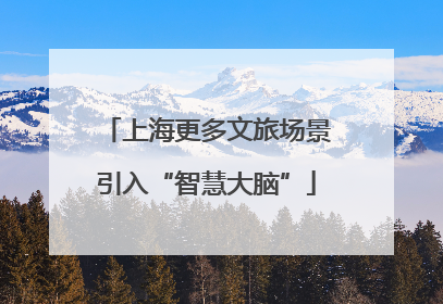 上海更多文旅场景引入“智慧大脑”
