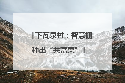 下瓦泉村：智慧棚种出“共富菜”