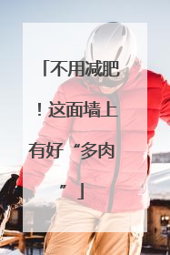 不用减肥！这面墙上有好“多肉”