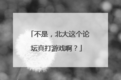 不是，北大这个论坛真打游戏啊？