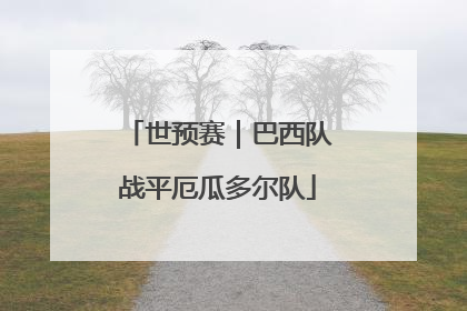 世预赛｜巴西队战平厄瓜多尔队
