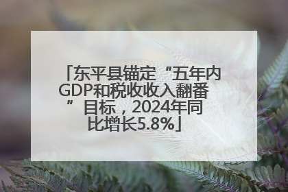 东平县锚定“五年内GDP和税收收入翻番”目标，2024年同比增长5.8%