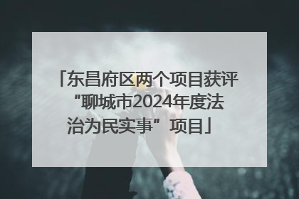 东昌府区两个项目获评“聊城市2024年度法治为民实事”项目