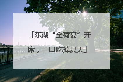 东湖“全荷宴”开席，一口吃掉夏天