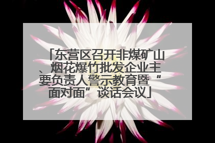 东营区召开非煤矿山、烟花爆竹批发企业主要负责人警示教育暨“面对面”谈话会议